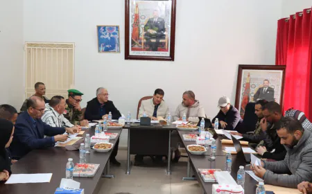 إعادة الحياة إلى طبيعتها:عامل إقليم تارودانت يتابع مشاريع إعادة الإعمار بجماعات تارودانت "صور"