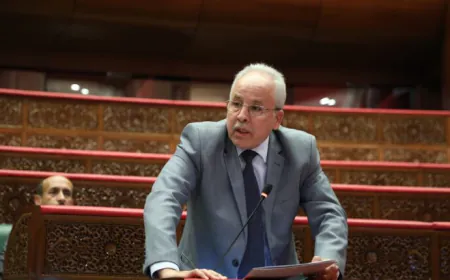 أكناو: برنامج محو الفوارق المجالية والاجتماعية مكن من تقليص العجز التنموي في العالم القروي