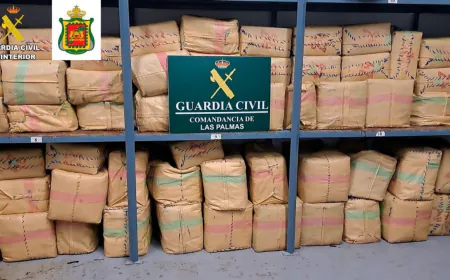 حجز طنين حشيش بتينيريفي بفضل معلومات وفرتها المديرية العامة لمراقبة التراب الوطني