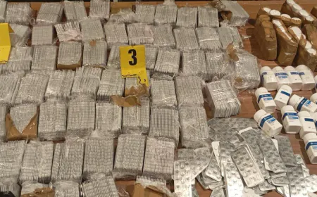 جهود أمنية متواصلة.. إحباط عملية تهريب كبيرة للأقراص المهلوسة بطنجة