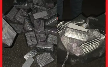 تطوان: حجز 17 ألف قرص مخدر وتوقيف 4 متهمين في عملية مشتركة بين الأمن ومراقبة التراب الوطني
