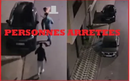 تخريب سيارتين بالشارع العام يقود شقيقين إلى الحراسة النظرية بمكناس