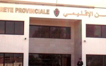 آسفي.. توقيف شخصين يشتبه في تورطهما في حيازة السلاح الأبيض دون سند مشروع، والتهديد بارتكاب جنايات