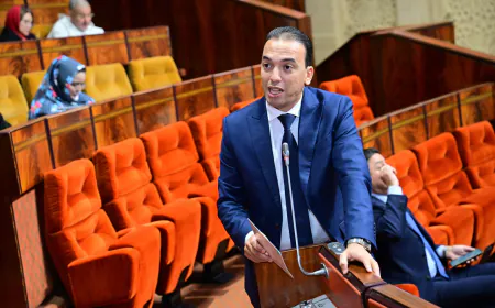 السعدي: الحكومة رفعت تعويضات الحرفيين لحماية المهن التقليدية من الإندثار