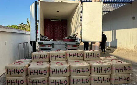 شحنة الحشيش وسقوط المتورطين: تفاصيل عملية أمنية ناجحة بالصويرة