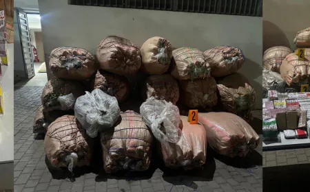 تفكيك شبكة لترويج المخدرات بين سطات وخريبكة وابن أحمد وحجز أزيد من طن ونصف من الكيف والشيرا