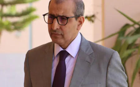 عامل الإقليم يتفقد عددا من مرافق وبنيات جماعات دائرة ماسة بلفاع.