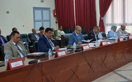 اشتوكة ايت باها. الدعوة الى التسريع باخراج المخطط المديري الإقليمي لتدبير النفايات المنزلية والمشابهة.