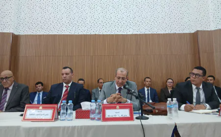 عامل الإقليم يفتح جسور التواصل مع فعاليات المجتمع المدني بسيدي بيبي وآيت عميرة