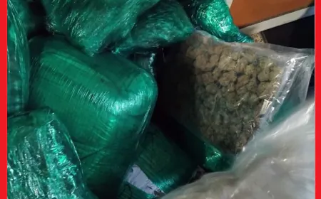 شبكات التهريب الدولي في قبضة الأمن المغربي بمطار محمد الخامس