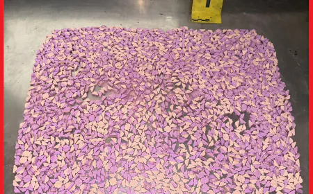 إنزكان تحت المجهر: DST تقود لتوقيف مروج على متن حافلة قادمة من الشمال