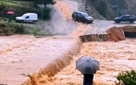 نشرة إنذارية: أمطار رعدية قوية وتساقطات ثلجية بعدة أقاليم بالمملكة.