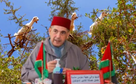 قرار عاملي يوقف جني الأركان إلى نهاية غشت لحماية الثروة الغابوية بعمالة اكادير اداوتنان