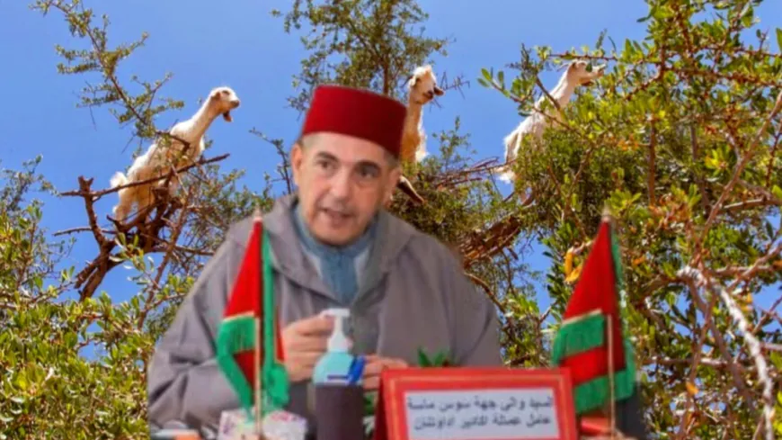 قرار عاملي يوقف جني الأركان إلى نهاية غشت لحماية الثروة الغابوية بعمالة اكادير اداوتنان