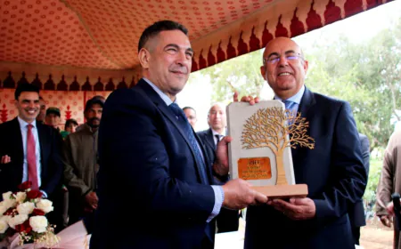 سوس ماسة تعتمد تقنية “Waterbox” لتعزيز نجاح برامج التشجير في المناطق الجافة