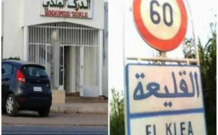 تفكيك شبكة لترويج المخدرات وتوقيف 7 أشخاص بمدينة القليعة