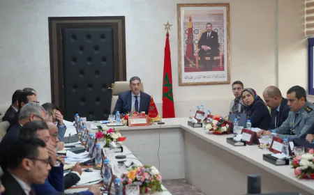 والي جهة سوس ماسة يترأس اجتماع اللجنة الإقليمية للمصادقة على خطة حماية الطفولة 2026-2027.