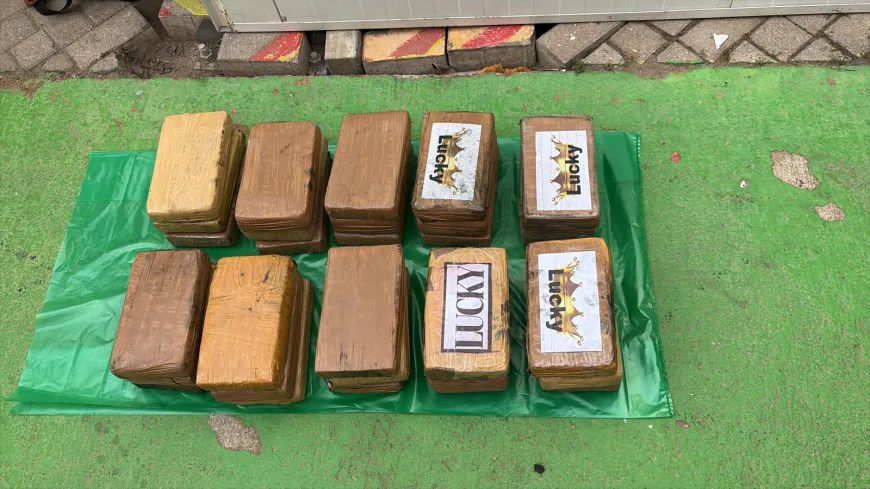 حجز شحنة كوكايين قادمة من الإكوادور في طريقها إلى أوروبا عبر طنجة