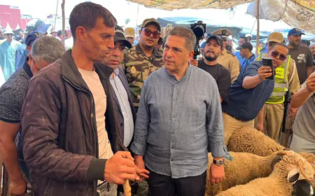 والي جهة سوس ماسة يتفقد رحبة بيع أضاحي العيد بتكوين ويشدد على تنظيم السوق ومحاربة المضاربة